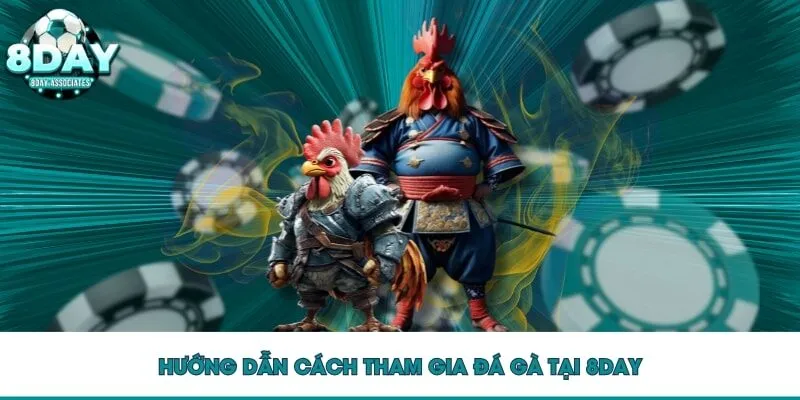Hướng dẫn cách tham gia đá gà 8DAY